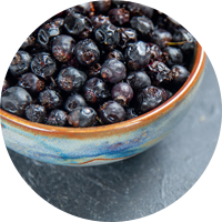 Bilberry Extract (Vaccinium myrtillus)
